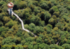 Postkarte Nr 171 [Reprint] - Baumkronenpfad im Nationalpark Hainich aus der Luft